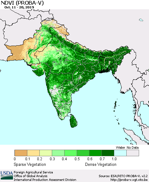 Southern Asia NDVI (PROBA-V) Thematic Map For 10/11/2019 - 10/20/2019