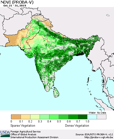 Southern Asia NDVI (PROBA-V) Thematic Map For 10/21/2019 - 10/31/2019