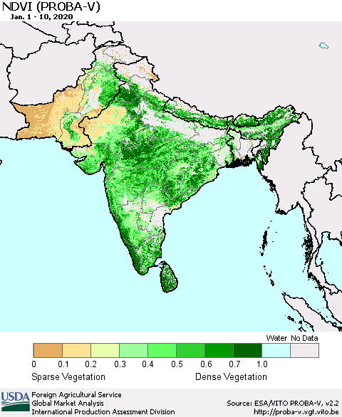 Southern Asia NDVI (PROBA-V) Thematic Map For 1/1/2020 - 1/10/2020