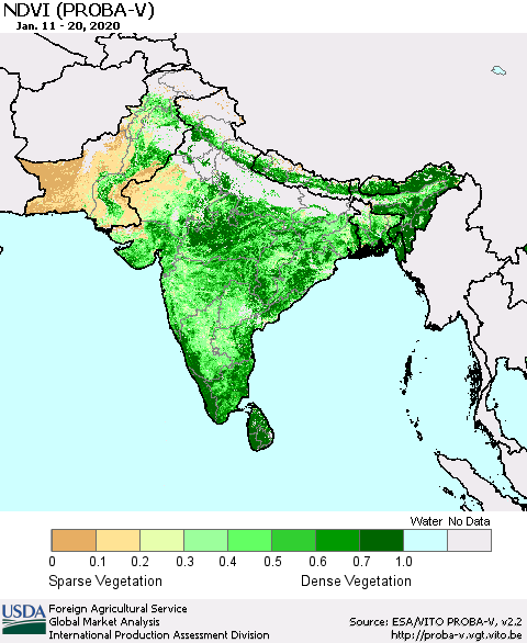 Southern Asia NDVI (PROBA-V) Thematic Map For 1/11/2020 - 1/20/2020