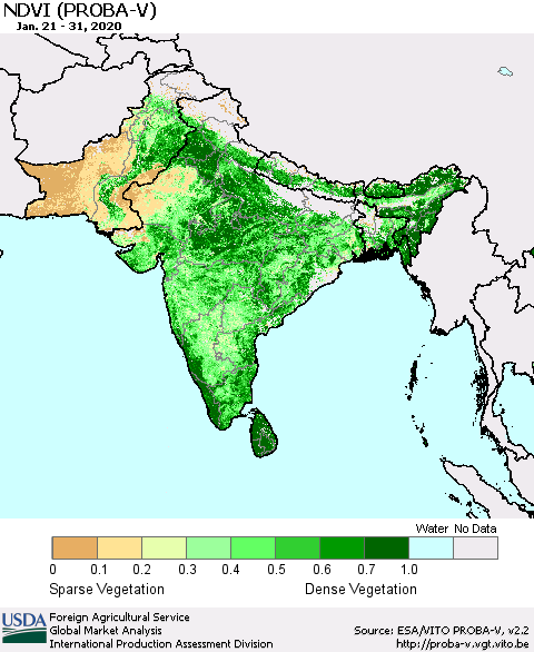 Southern Asia NDVI (PROBA-V) Thematic Map For 1/21/2020 - 1/31/2020