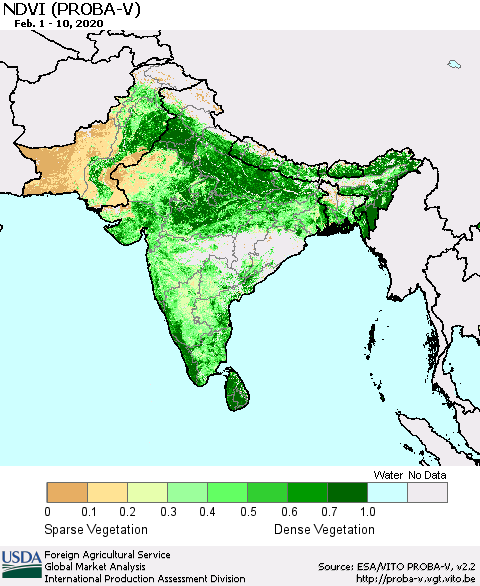 Southern Asia NDVI (PROBA-V) Thematic Map For 2/1/2020 - 2/10/2020