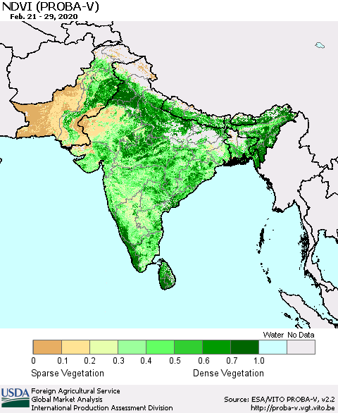 Southern Asia NDVI (PROBA-V) Thematic Map For 2/21/2020 - 2/29/2020