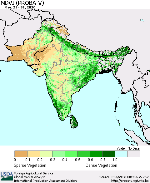 Southern Asia NDVI (PROBA-V) Thematic Map For 5/21/2020 - 5/31/2020