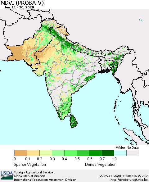 Southern Asia NDVI (PROBA-V) Thematic Map For 6/11/2020 - 6/20/2020