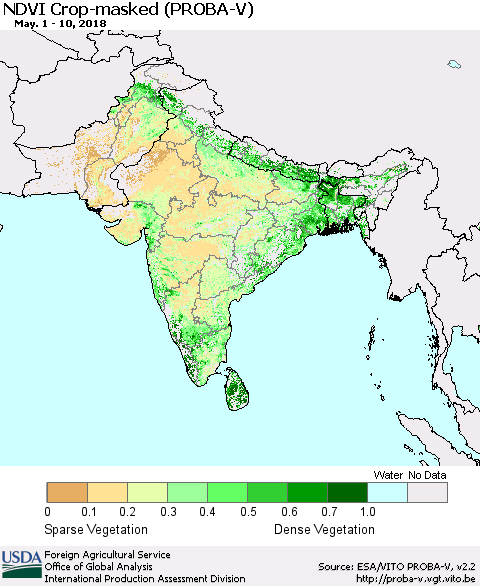 Southern Asia NDVI Crop-masked (PROBA-V) Thematic Map For 5/1/2018 - 5/10/2018
