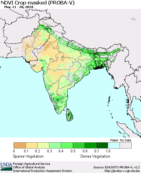 Southern Asia NDVI Crop-masked (PROBA-V) Thematic Map For 5/11/2018 - 5/20/2018