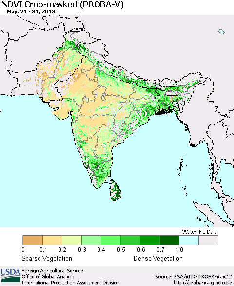 Southern Asia NDVI Crop-masked (PROBA-V) Thematic Map For 5/21/2018 - 5/31/2018