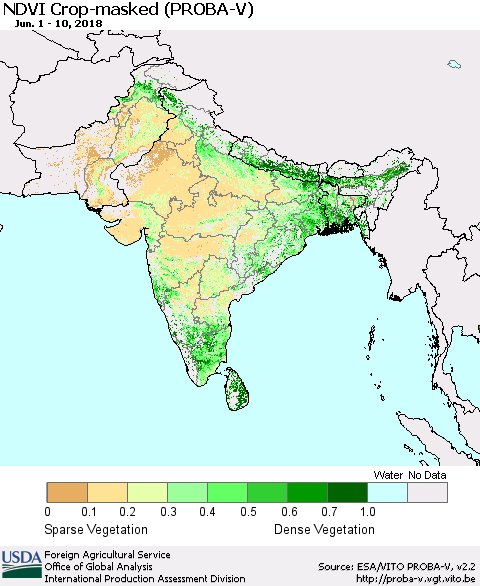 Southern Asia NDVI Crop-masked (PROBA-V) Thematic Map For 6/1/2018 - 6/10/2018