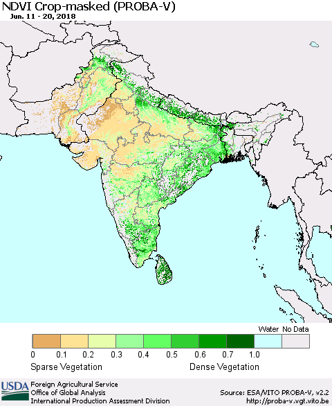 Southern Asia NDVI Crop-masked (PROBA-V) Thematic Map For 6/11/2018 - 6/20/2018