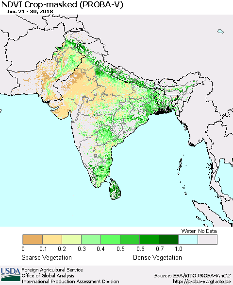 Southern Asia NDVI Crop-masked (PROBA-V) Thematic Map For 6/21/2018 - 6/30/2018