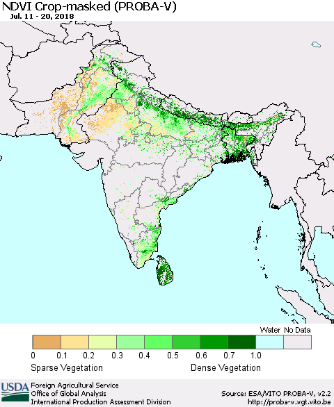 Southern Asia NDVI Crop-masked (PROBA-V) Thematic Map For 7/11/2018 - 7/20/2018