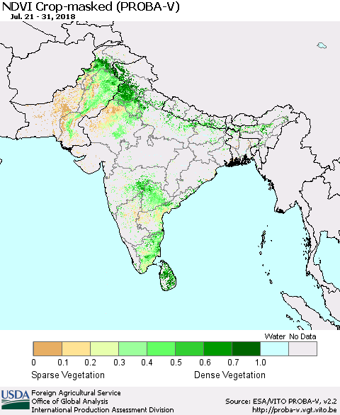 Southern Asia NDVI Crop-masked (PROBA-V) Thematic Map For 7/21/2018 - 7/31/2018