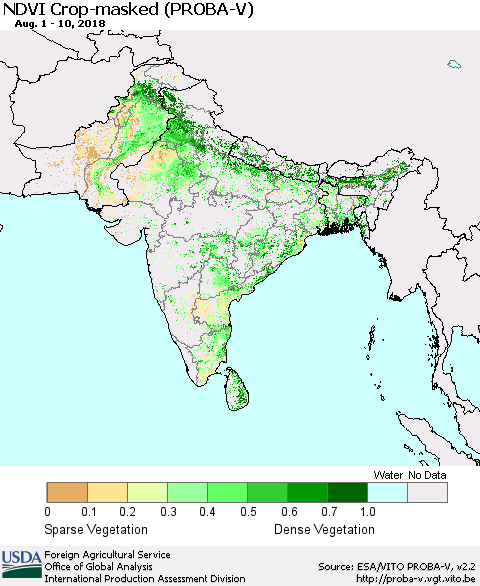Southern Asia NDVI Crop-masked (PROBA-V) Thematic Map For 8/1/2018 - 8/10/2018