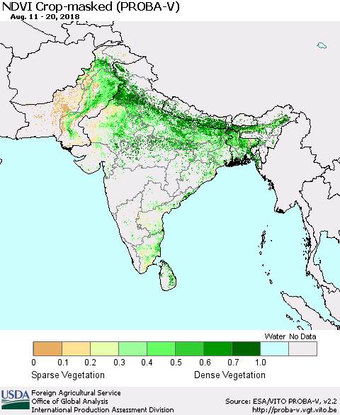 Southern Asia NDVI Crop-masked (PROBA-V) Thematic Map For 8/11/2018 - 8/20/2018