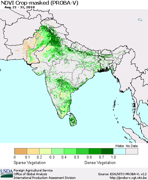 Southern Asia NDVI Crop-masked (PROBA-V) Thematic Map For 8/21/2018 - 8/31/2018