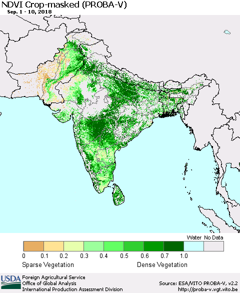 Southern Asia NDVI Crop-masked (PROBA-V) Thematic Map For 9/1/2018 - 9/10/2018