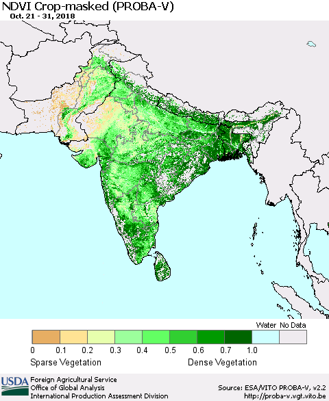 Southern Asia NDVI Crop-masked (PROBA-V) Thematic Map For 10/21/2018 - 10/31/2018