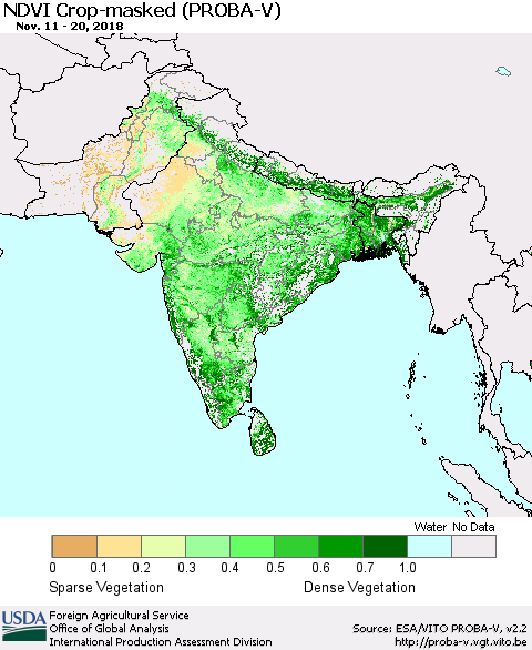 Southern Asia NDVI Crop-masked (PROBA-V) Thematic Map For 11/11/2018 - 11/20/2018