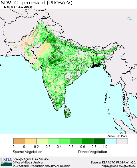 Southern Asia NDVI Crop-masked (PROBA-V) Thematic Map For 12/21/2018 - 12/31/2018