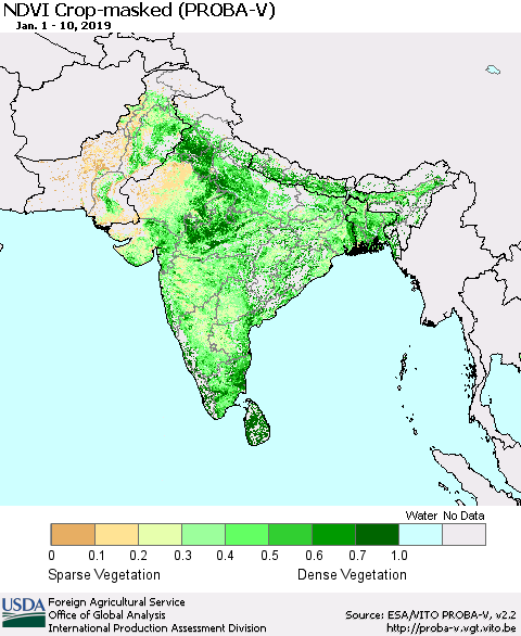 Southern Asia NDVI Crop-masked (PROBA-V) Thematic Map For 1/1/2019 - 1/10/2019