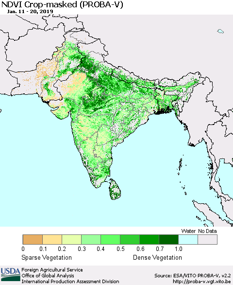 Southern Asia NDVI Crop-masked (PROBA-V) Thematic Map For 1/11/2019 - 1/20/2019