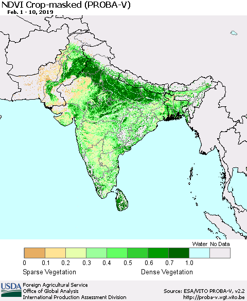 Southern Asia NDVI Crop-masked (PROBA-V) Thematic Map For 2/1/2019 - 2/10/2019