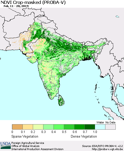 Southern Asia NDVI Crop-masked (PROBA-V) Thematic Map For 2/11/2019 - 2/20/2019