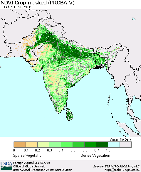 Southern Asia NDVI Crop-masked (PROBA-V) Thematic Map For 2/21/2019 - 2/28/2019