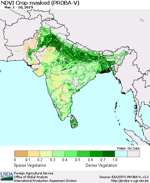 Southern Asia NDVI Crop-masked (PROBA-V) Thematic Map For 3/1/2019 - 3/10/2019