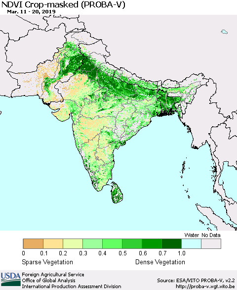 Southern Asia NDVI Crop-masked (PROBA-V) Thematic Map For 3/11/2019 - 3/20/2019