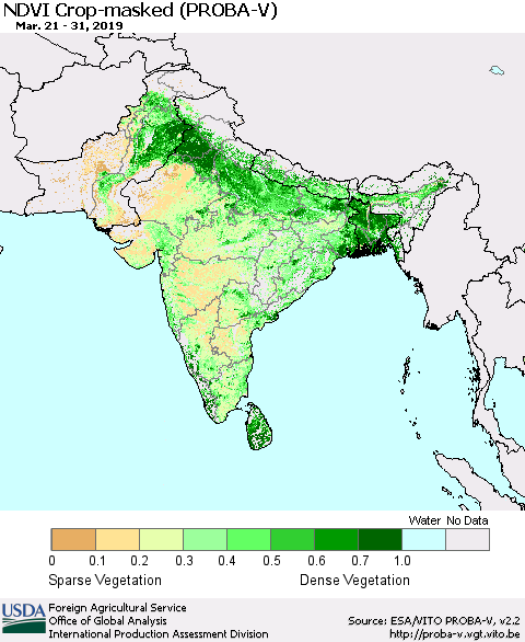 Southern Asia NDVI Crop-masked (PROBA-V) Thematic Map For 3/21/2019 - 3/31/2019