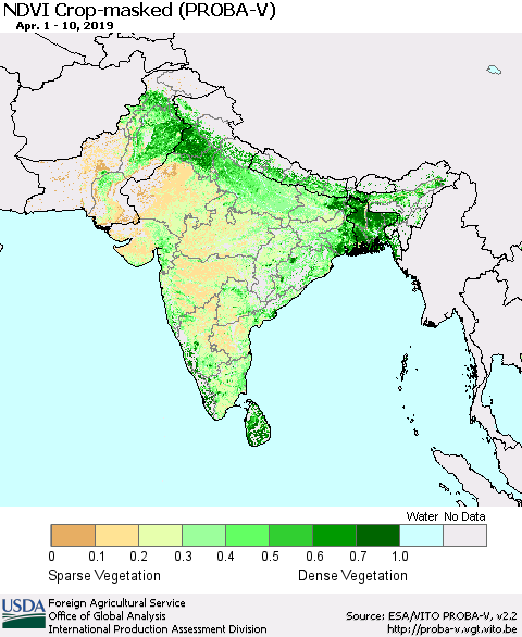 Southern Asia NDVI Crop-masked (PROBA-V) Thematic Map For 4/1/2019 - 4/10/2019
