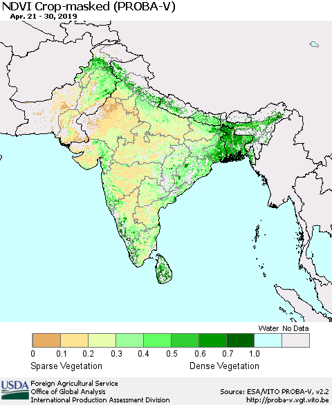 Southern Asia NDVI Crop-masked (PROBA-V) Thematic Map For 4/21/2019 - 4/30/2019