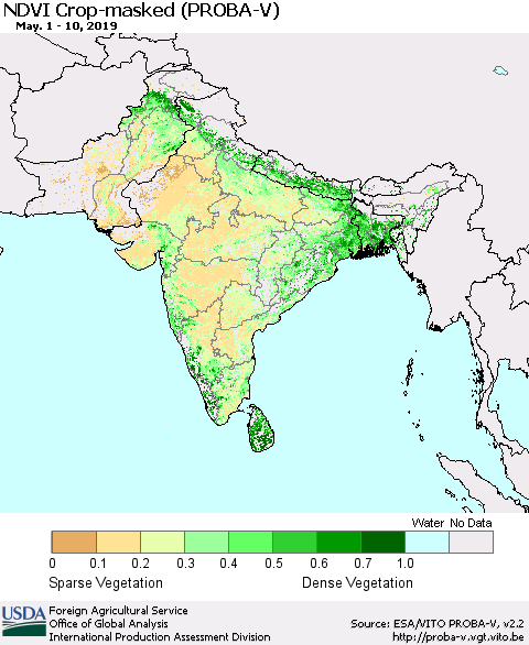 Southern Asia NDVI Crop-masked (PROBA-V) Thematic Map For 5/1/2019 - 5/10/2019