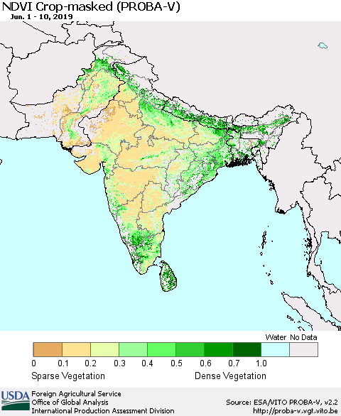 Southern Asia NDVI Crop-masked (PROBA-V) Thematic Map For 6/1/2019 - 6/10/2019