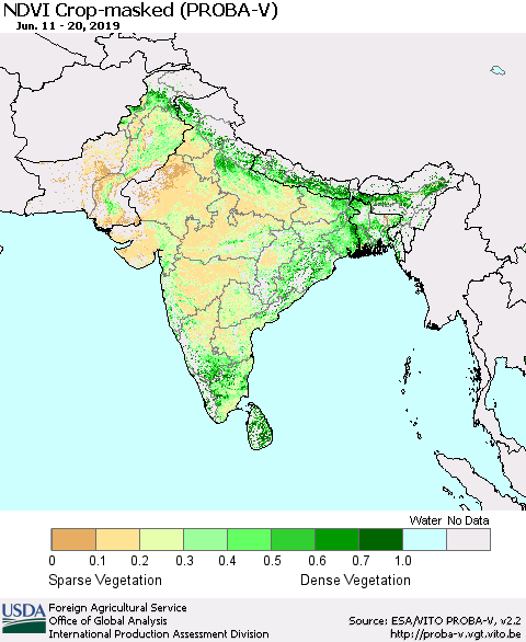 Southern Asia NDVI Crop-masked (PROBA-V) Thematic Map For 6/11/2019 - 6/20/2019