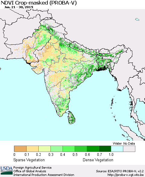 Southern Asia NDVI Crop-masked (PROBA-V) Thematic Map For 6/21/2019 - 6/30/2019