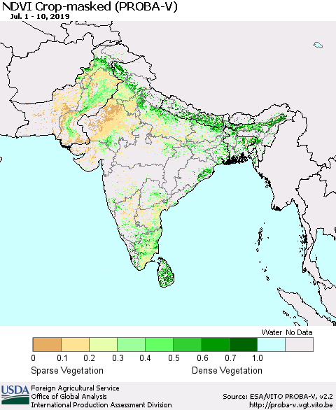 Southern Asia NDVI Crop-masked (PROBA-V) Thematic Map For 7/1/2019 - 7/10/2019