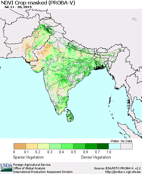 Southern Asia NDVI Crop-masked (PROBA-V) Thematic Map For 7/11/2019 - 7/20/2019