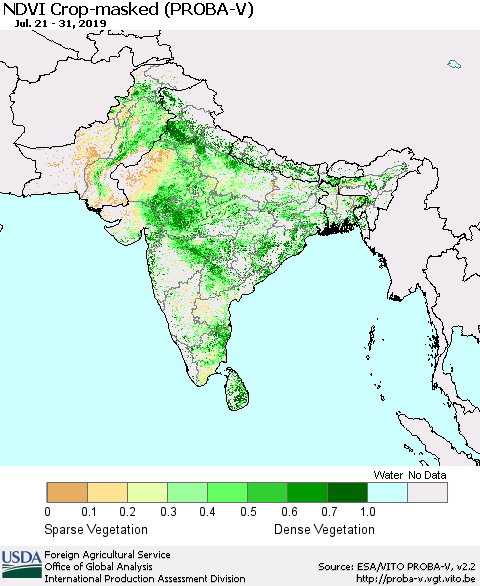 Southern Asia NDVI Crop-masked (PROBA-V) Thematic Map For 7/21/2019 - 7/31/2019