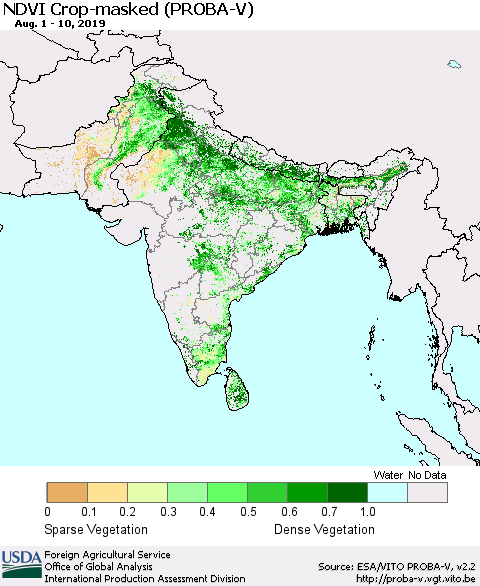 Southern Asia NDVI Crop-masked (PROBA-V) Thematic Map For 8/1/2019 - 8/10/2019