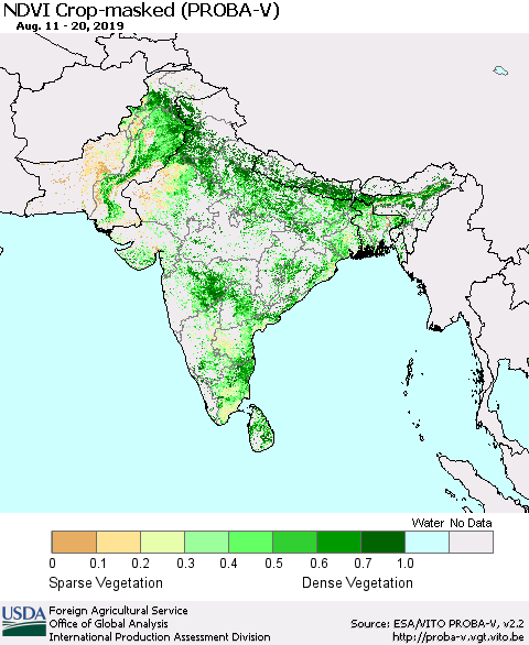 Southern Asia NDVI Crop-masked (PROBA-V) Thematic Map For 8/11/2019 - 8/20/2019