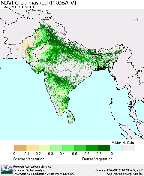 Southern Asia NDVI Crop-masked (PROBA-V) Thematic Map For 8/21/2019 - 8/31/2019