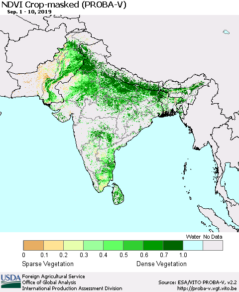Southern Asia NDVI Crop-masked (PROBA-V) Thematic Map For 9/1/2019 - 9/10/2019