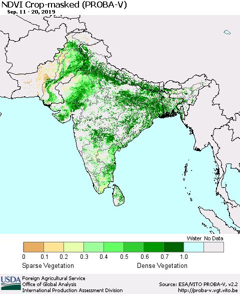 Southern Asia NDVI Crop-masked (PROBA-V) Thematic Map For 9/11/2019 - 9/20/2019
