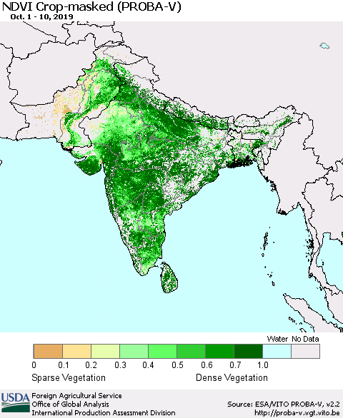 Southern Asia NDVI Crop-masked (PROBA-V) Thematic Map For 10/1/2019 - 10/10/2019