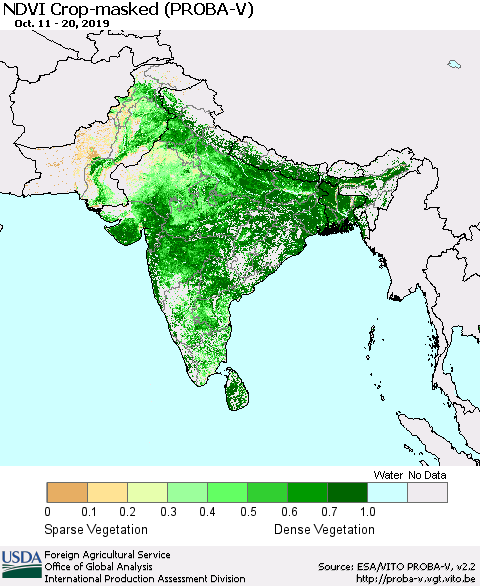 Southern Asia NDVI Crop-masked (PROBA-V) Thematic Map For 10/11/2019 - 10/20/2019