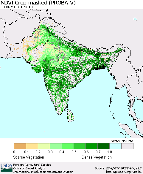 Southern Asia NDVI Crop-masked (PROBA-V) Thematic Map For 10/21/2019 - 10/31/2019