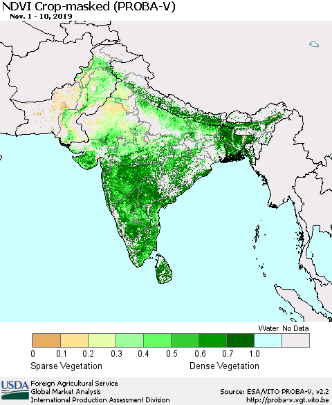 Southern Asia NDVI Crop-masked (PROBA-V) Thematic Map For 11/1/2019 - 11/10/2019